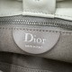 Best Replica Dior Bow Small/Medium Shoulder Bag with Gold Finish in Beige Knockoff