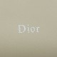 Best Replica Dior Bow Small/Medium Shoulder Bag in Light Beige Stainless Steel Knockoff