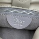 Best Replica Dior Bow Small/Medium Shoulder Bag in Light Beige Stainless Steel Knockoff