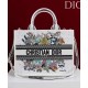 AAAAA Replica Dior Lucky Medium Dior Book Tote White Fake Clone