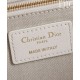 AAAAA Replica Dior Lucky Medium Dior Book Tote White Fake Clone