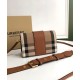 Replica Burberry Small Buckle Crossbody Bag Coffee Clone Cheap