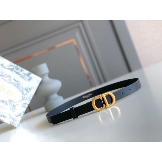 Replica Dior Saddle 20MM Belt Black Fake