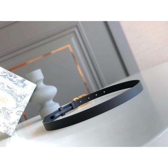 Replica Dior Saddle 20MM Belt Black Fake