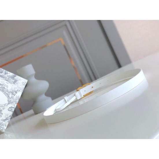 Replica Dior Saddle 20MM Belt White Fake