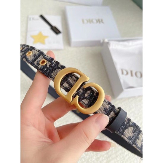 Replica Dior Saddle 20MM Belt Dior Oblique Jacquard Blue Fake