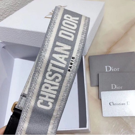 Replica Christian Dior Shoulder Strap Gray Fake