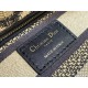 Replica Dior Mini Lady D-Lite Bag Multicolor Mizza Embroidery Beige