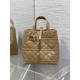 Replica Dior Small/Medium Dior Toujours Vertical Tote Bag Brown