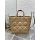 Replica Dior Small/Medium Dior Toujours Vertical Tote Bag Brown