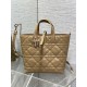 Replica Dior Small/Medium Dior Toujours Vertical Tote Bag Brown