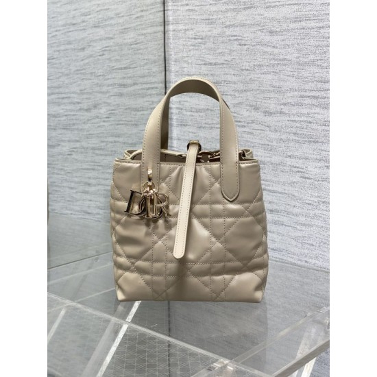 Replica Dior Small/Medium Dior Toujours Vertical Tote Bag Apricot