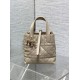 Replica Dior Small/Medium Dior Toujours Vertical Tote Bag Apricot