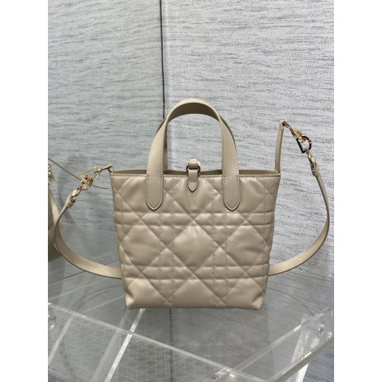 Replica Dior Small/Medium Dior Toujours Vertical Tote Bag Apricot