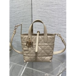 Replica Dior Small/Medium Dior Toujours Vertical Tote Bag Apricot
