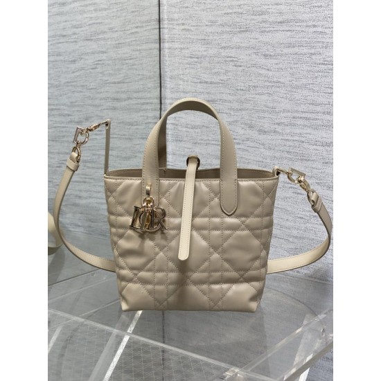 Replica Dior Small/Medium Dior Toujours Vertical Tote Bag Apricot