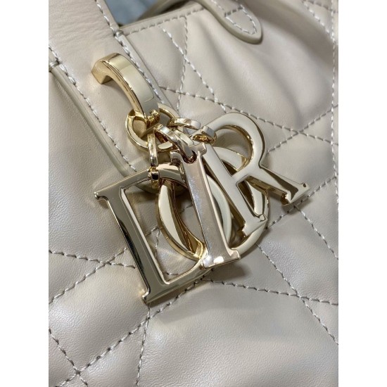 Replica Dior Small/Medium Dior Toujours Vertical Tote Bag Apricot