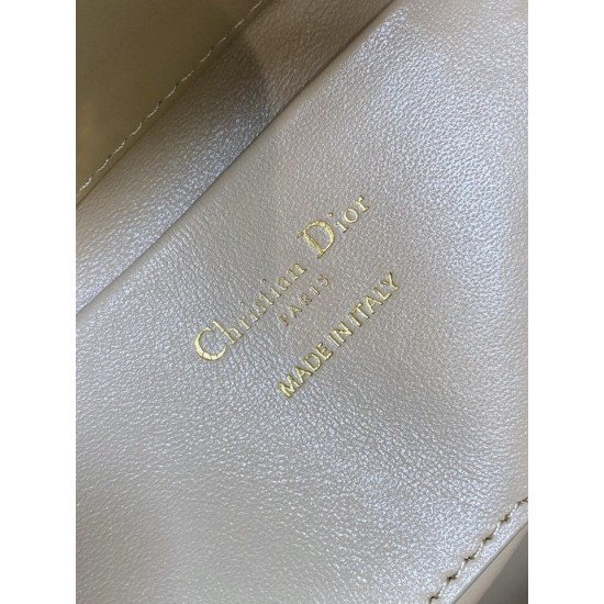 Replica Dior Small/Medium Dior Toujours Vertical Tote Bag Apricot