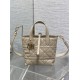 Replica Dior Small/Medium Dior Toujours Vertical Tote Bag Apricot