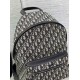 Replica Dior Rider Backpack Dior Oblique Jacquard Beige /Black