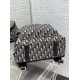 Replica Dior Rider Backpack Dior Oblique Jacquard Beige /Black