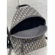 Replica Dior Rider Backpack Dior Oblique Jacquard Beige /Black