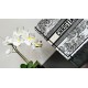 Replica Dior Medium Dior Book Tote Bag Embroidery Toile de Jouy Scotland Motif White/Black