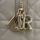 AAAAA Replica Dior Toujours Small Vertical Tote Gray Fake