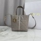 AAAAA Replica Dior Toujours Small Vertical Tote Gray Fake