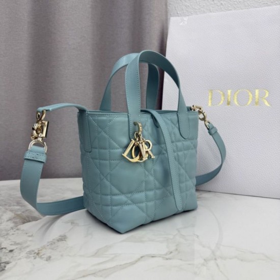 AAAAA Replica Dior Toujours Small Vertical Tote Blue Fake