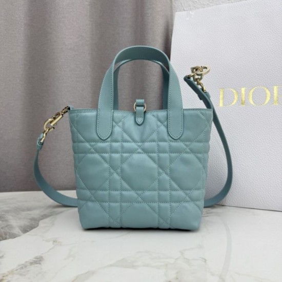 AAAAA Replica Dior Toujours Small Vertical Tote Blue Fake
