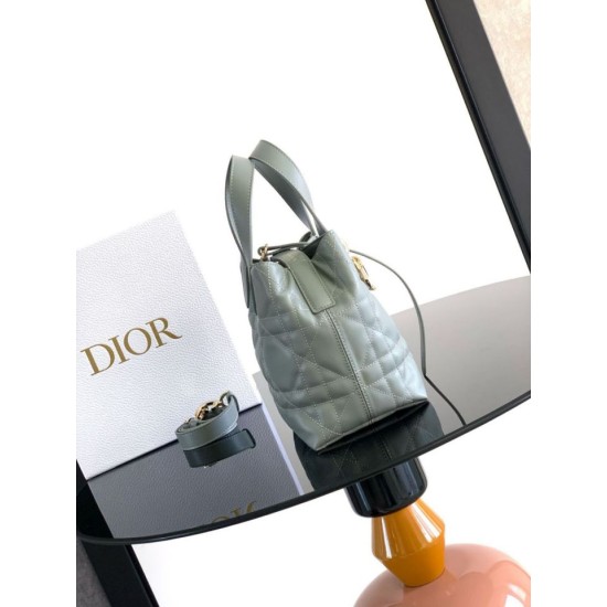 Super Clone Knockoff Dior Toujours Small Vertical Tote Bag Blue
