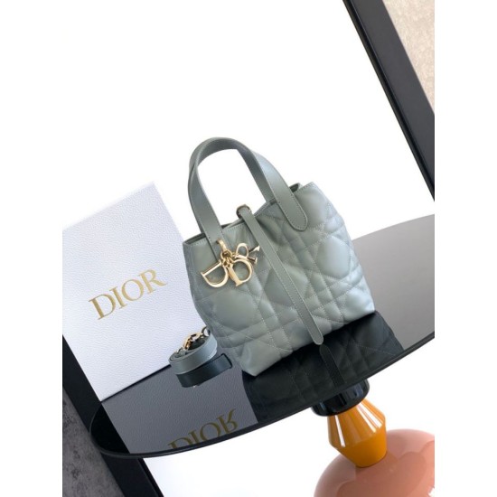 Super Clone Knockoff Dior Toujours Small Vertical Tote Bag Blue