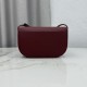Mirror Quality Replica Dior Médaillon Crossbody Bag 23cm M3920 Burgundy Knockoff