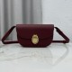 Mirror Quality Replica Dior Médaillon Crossbody Bag 23cm M3920 Burgundy Knockoff