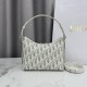 Mirror Quality Replica Dior 30 Montaigne Miss Caro Oblique shoulder bag beige/gray Knockoff
