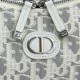Mirror Quality Replica Dior 30 Montaigne Miss Caro Oblique shoulder bag beige/gray Knockoff