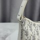 Mirror Quality Replica Dior 30 Montaigne Miss Caro Oblique shoulder bag beige/gray Knockoff