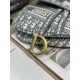 Mirror Quality Replica Dior Saddle Oblique Embroidered Shoulder Bag in Gray Knockoff