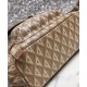 Replica Christian Dior Hit The Road Backpack Coffee