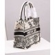 Fake Christian Dior Small Dior Book Tote Cream Replica