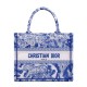 Fake Christian Dior Small Dior Book Tote Blue Replica