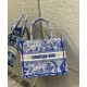 Fake Christian Dior Small Dior Book Tote Blue Replica