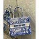 Fake Christian Dior Small Dior Book Tote Blue Replica