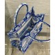 Fake Christian Dior Small Dior Book Tote Blue Replica