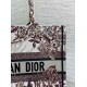 Fake Dior Medium Book Tote Bag Dior 4 Saisons Hiver Soleil Embroidery Replica