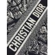 Replica Dior Medium Book Tote Bag with Strap Plan de Paris Embroidery and Black Calfskin