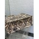 Fake Dior Large Book Tote Bag Beige Toile de Jouy Soleil Embroidery Replica