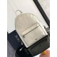 Replica Dior Rider 2.0 Zipped Backpack Beige Gravity Leather