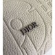 Fake Dior Rider 2.0 Zipped Messenger Bag in Beige Gravity Leather Replica